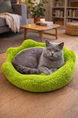 Çiçek Kedi Yatağı