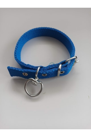 Kozaklı Küçük Irk Köpek Tasması Mavi 50 x 2.5 CM Mavi