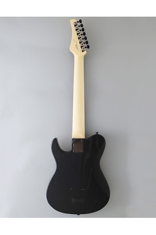 Fujigen Iliad Elektro Gitar Jıl73ashder/opb