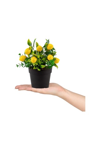 3 Lü Set Siyah Mini Plastik Saksıda Yapay Kokina, Limon Ve Nar Çiçeği