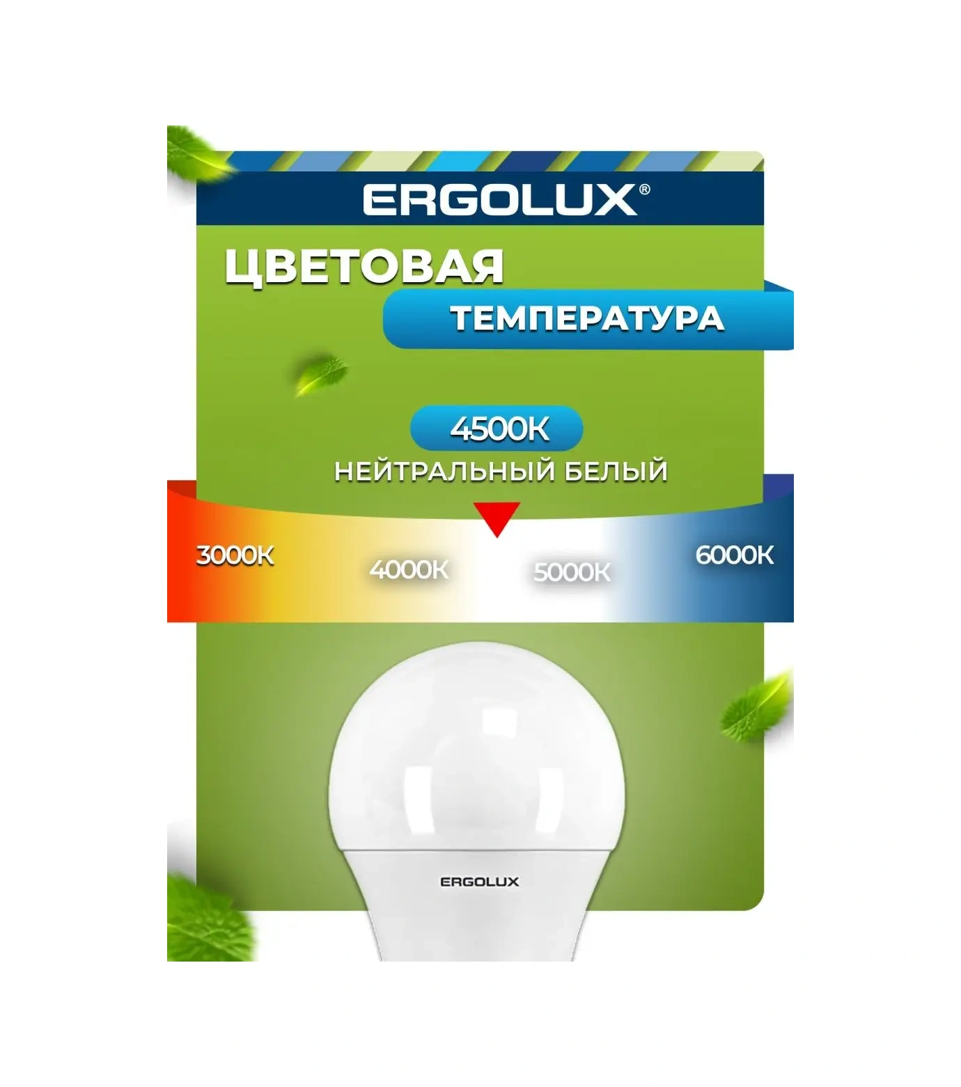 Ergolux Ergolux Led 35w 4500k E27 Led Ampul E27 16384557