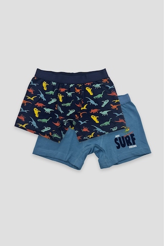 Defne Baby Erkek Çocuk Deseli Premium Pamuklu 2'li Boxer Seti Çok Renkli