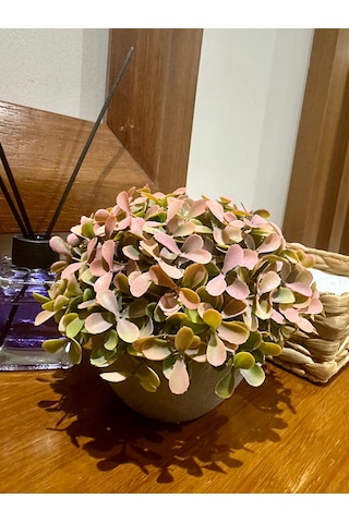 Modern Gri Saksıda Gerçekçi Yapay Dekoratif Bitki 17 X13 Cm Ev Ve Ofis Dekoru Çok Renkli