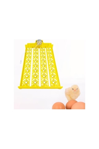 Pazly Otomatik Yumurta Çevirme Makinesi Kuluçka Tavuk Suntek Ac-12v Pm