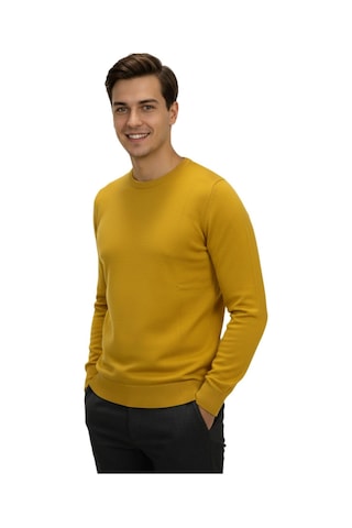 Erkek Spor Sıfır Yaka Regular Fit Kazak Bgl-st04953 Hardal