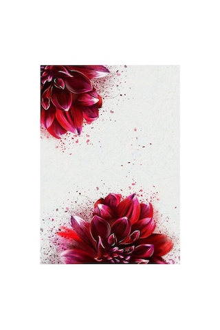 Carmine Carpet 3823 Dijital Baskılı Yıkanabilir Çiçek Desenli Kaymaz Taban 2'li Banyo Paspas Seti Renkli Tek Ebat Çok Renkli