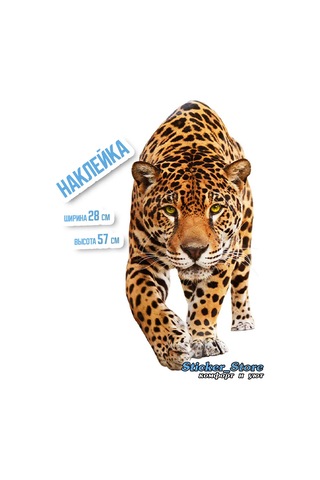 Sticker Store Leopard Kendinden Yapışkanlı Duvar Dekor Etiketleri 262269153 Siyah