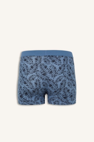 Defacto Regular Fıt Baskılı 3lü Boxer E5043ax26aube364 Mavi-be364