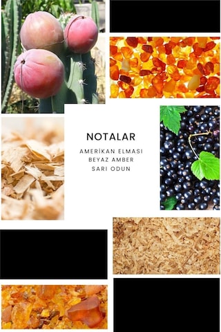 Ixora E034 Assist Erkek Parfüm EDP 50 ML