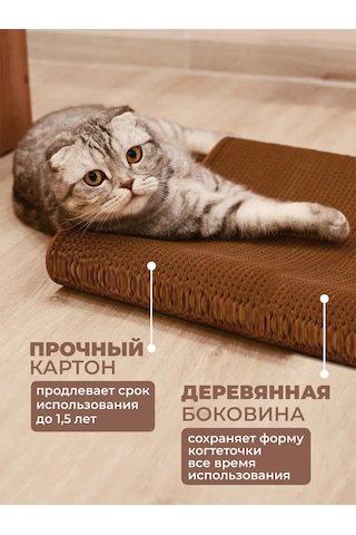 Udzin Kedi İçin Karton Yataklı Tırmalama Direği 481996866