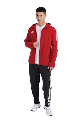 Adidas Erkek Kırmızı Rüzgarlık 1618 Kırmızı