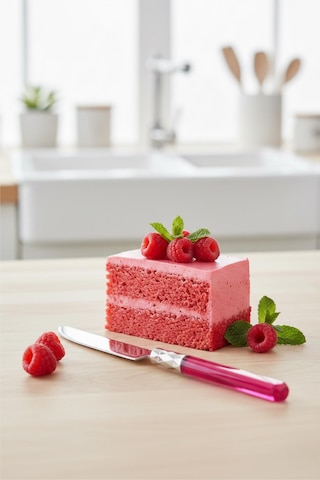6 Lı Paslanmaz Çelik Pembe Tatlı Bıçağı Seti Pembe