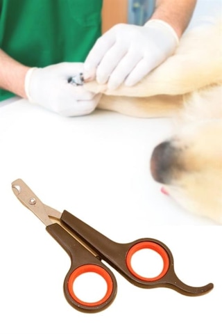 Küçük Çelik Uçlu Kedi Köpek Evcil Hayvan Tırnak Makası Pati Bakım Aleti Ergonomik Kaymaz Sap 50001