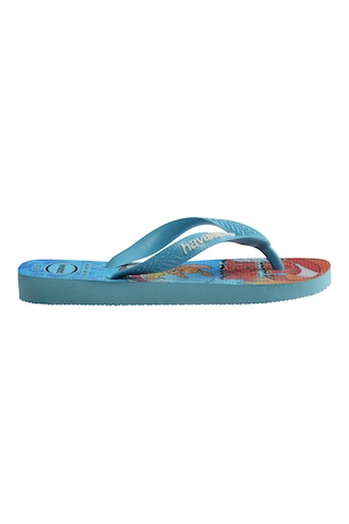 Havaianas Kıds Top Warner Erkek Çocuk Parmak Arası Terlik 4150291 4150291 0031 Mavi