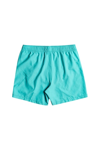 Billabong All Day Lb Erkek Deniz Şortu Mint Mint Yeşili
