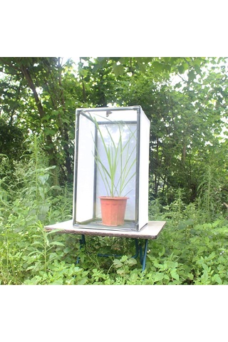 Teltree Pvc Çerçeveli Esnek Kafes: Kelebek, Böcek Yetiştirme, Bitki Koruması İçin Özel Boyutlu 40 30 40 Tüketiciye Doğru Satış