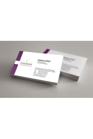 Kartvizit (542078470)