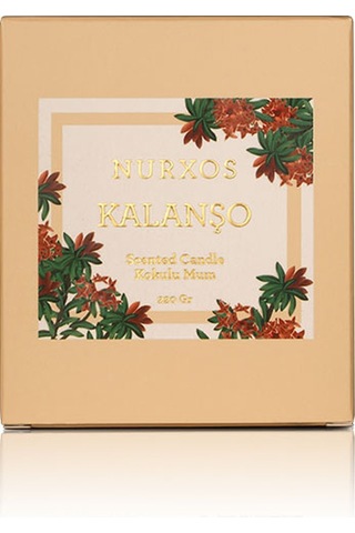 Nurxos Kalanşo Kokulu Mum 220 G