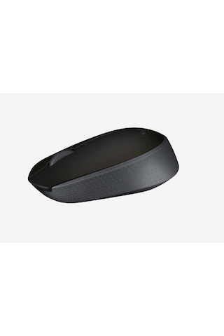 Logıtech M171 Kablosuz Usb Mouse Siyah 910-004424