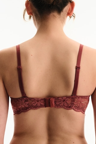 Penti Bordo Pop Up Destekli Lace Dantel Sütyen
