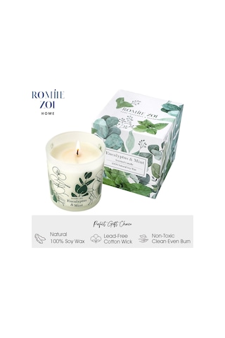 Kokulu Mum - Okaliptüs Ve Nane - 6oz Aromaterapi Soya Balmumu Kavanoz Mum Ev İçin, Kadınlar İçin Hediyeler - 170g Diğer