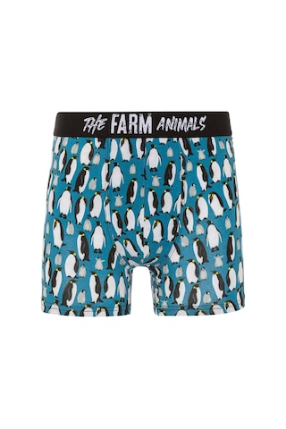 Farm Animals Penguins Desenli Boxer