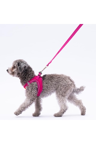 Fuşya Leash Kedi Köpek Sevk & Gezdirme Kayışı Köpek Uzatma Tasması Fuşya