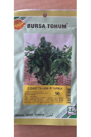 Kolukısa Tarım İri Yapraklı Maydanoz Tohumu