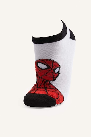 Defacto Marvel Spıderman 3lü Pamuklu Patik Çorap Seti Erkek Çocuk H2326a8nskr1 Çok Renkli-kr1