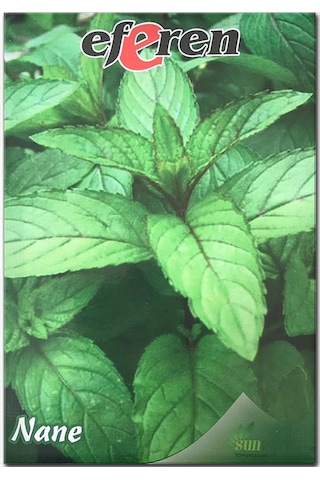 Bykurt Sunagri Nane Tohumu - Aromatik, Tıbbi Özellikli, Çok Yıllık, Kolay Yetiştirilir 100 Adet