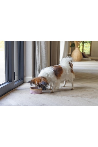 Beeztees Dbl Köpek Mama Su Kabı, Seramik, Pembe, 13,5cm, 500ml