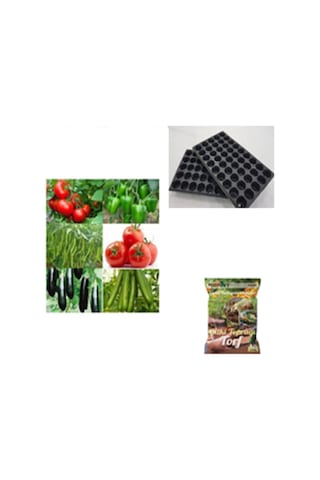 Çeşitli Sebze 9 Farklı Çeşit Sebze Tohumu 60 Tohum+abant Torf 5 Lt