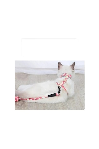 Büro Ev Ofis Evcil Pet Hayvanı İçin Göğüs Tipi Kedi Gezdirme Tasması