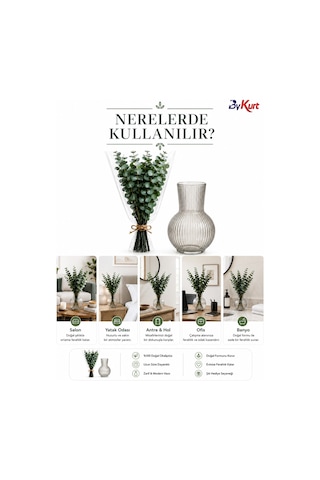 Dekoratif Cam Vazo Ve Doğal Şoklanmış Okaliptus Demeti Seti Şeffaf