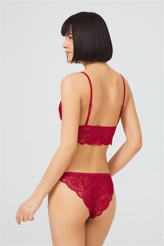 Cottonhill Bordo Dantelli Transparan Balensiz Kadın Sütyen Takımı Bordo