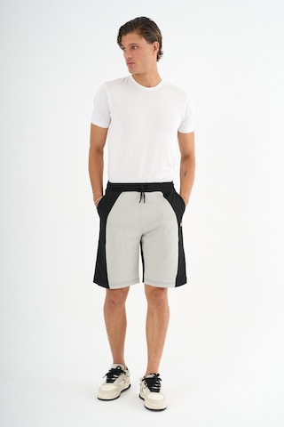 Redline Rune Erkek Comfort Fit Şort & Bermuda Gri