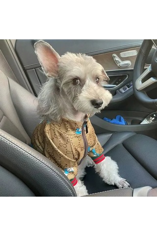 Küçük Ve Orta Boy Köpekler İçin Mont 390498419