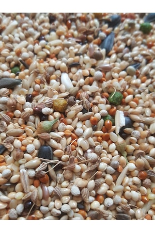 Sultan Papağani Yemi̇ 500 Gr