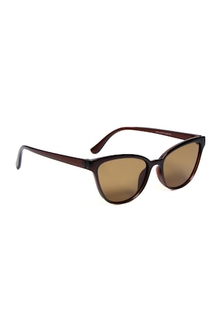 Carmelo Eyewear C02gk042 Kahverengi Kadın Güneş Gözlüğü