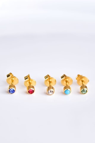 Çelik Gold Kaplama Cerrahi Tektaş Çivili 5'li Kombin Küpe Model1 Altın