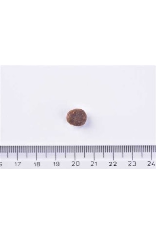 Brit Premium By Nature Kısırlaştırılmış Kediler İçin, Somon Balıklı Kuru Mama 8 Kg