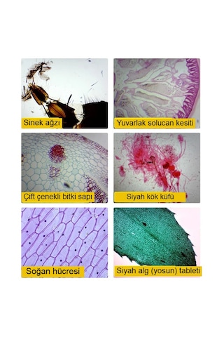 2000x Dijital Mikroskop 40x-2000x Led Pc Bağlantılı