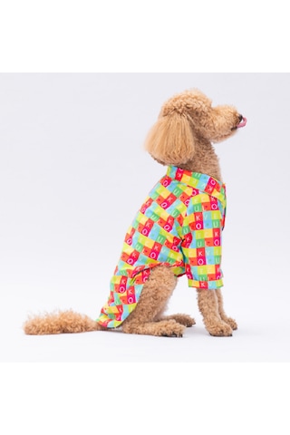 Harfler Büyük Irk Köpek Gömlek 7xl