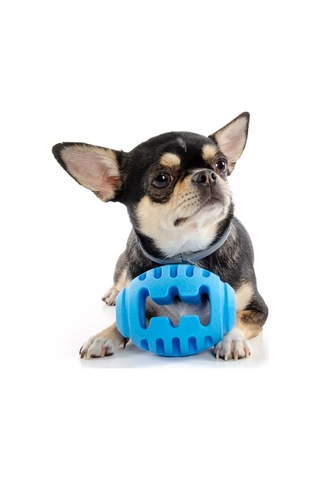 Elitedog Vandalizme Karşı Dayanıklı Ragbi Topu, L, 10x7.5x7.5cm 226762089