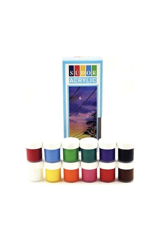 12 Renk Akrilik Boya Seti 25x35 Tuval İpek Fırça Seti 12x20 Ml Çok Renkli