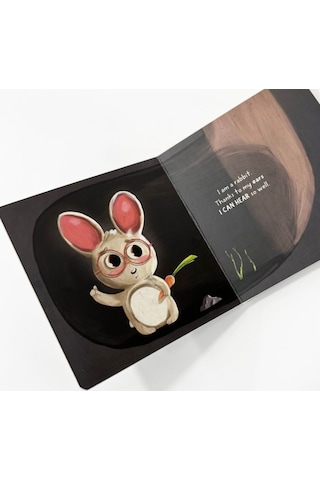 Sincap Kitap Senses - Baby University First Concepts Stories 2