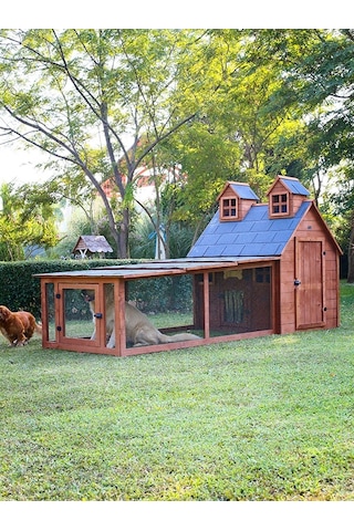 Mandu Bahçeli Ultra Lüks Ahşap Köpek Kulübesi Evi