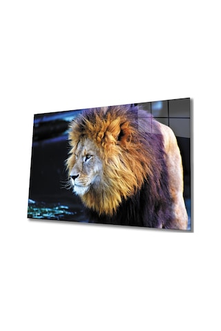 Aslan 2 Cam Tablo