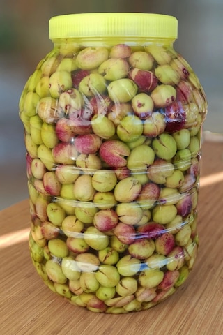 Sazak Kendin Tatlandır Kırma Yeşil Zeytin Mut Zeytini 3300 G