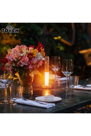 Willowhaven Hareket Sensörlü Usb Şarjlı Kablosuz Led Gece Lambası, Antik Metal Kaplama Diğer